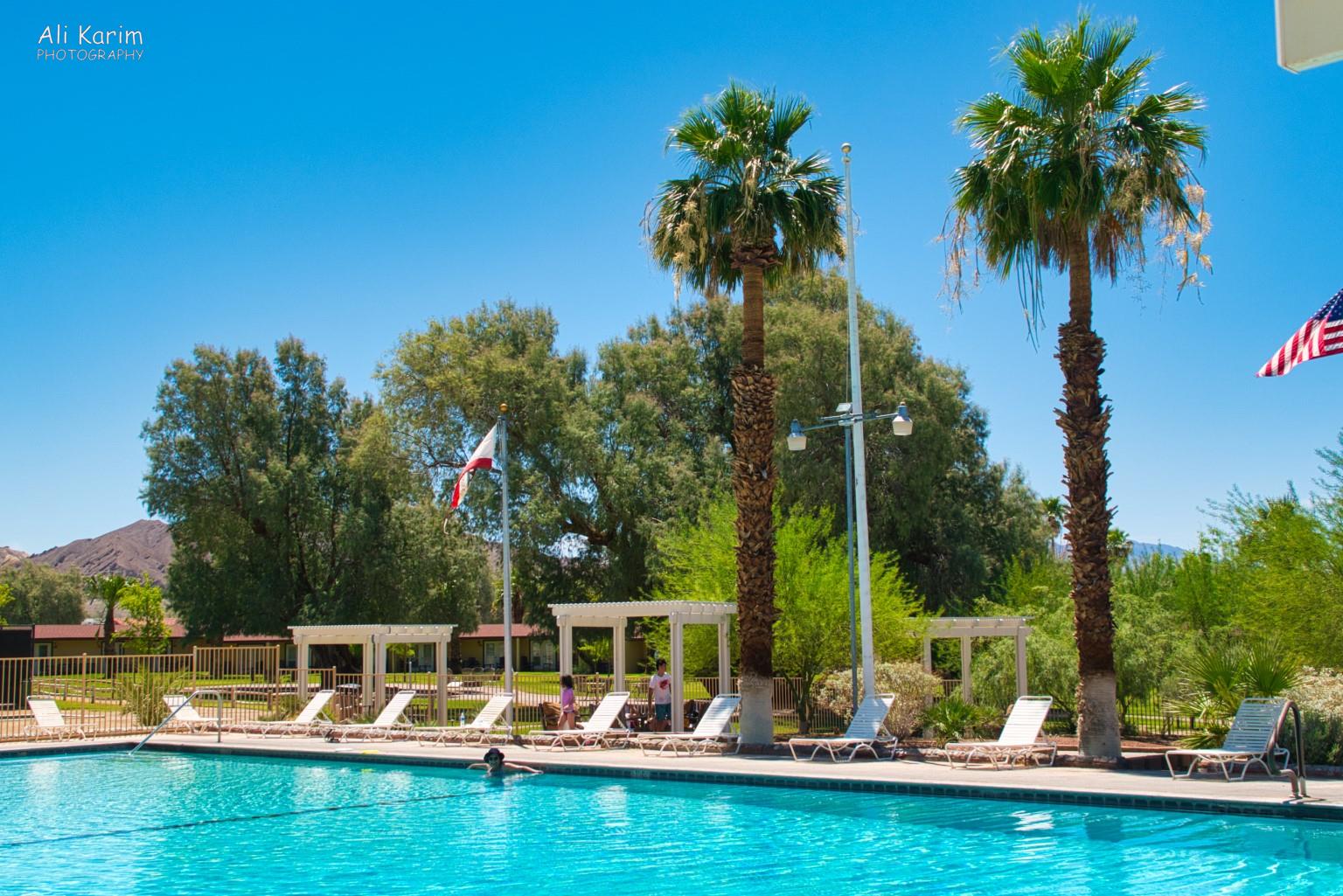Olympic size pool and landscaping at the resort; using the natural spring here Death Valley National Park, June 2020, Olympic size pool and landscaping at the resort; using the natural spring here