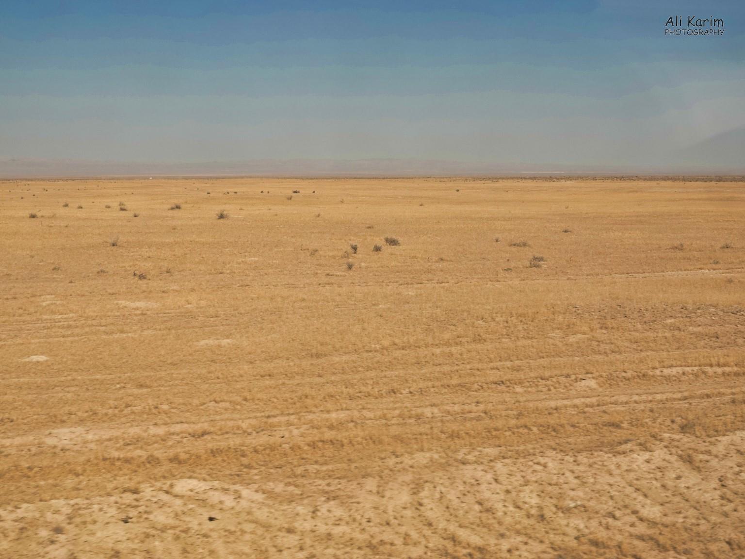 Khiva, Oct 2019, Desert like scrub-land