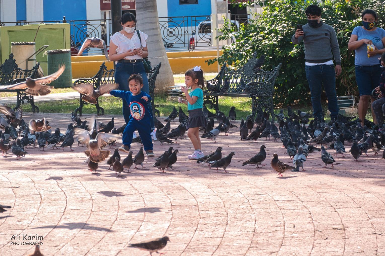 What fun in the old city squares Mérida & Campeche, Yucatan Peninsula, Mexico, Feb 2021, What fun in the old city squares