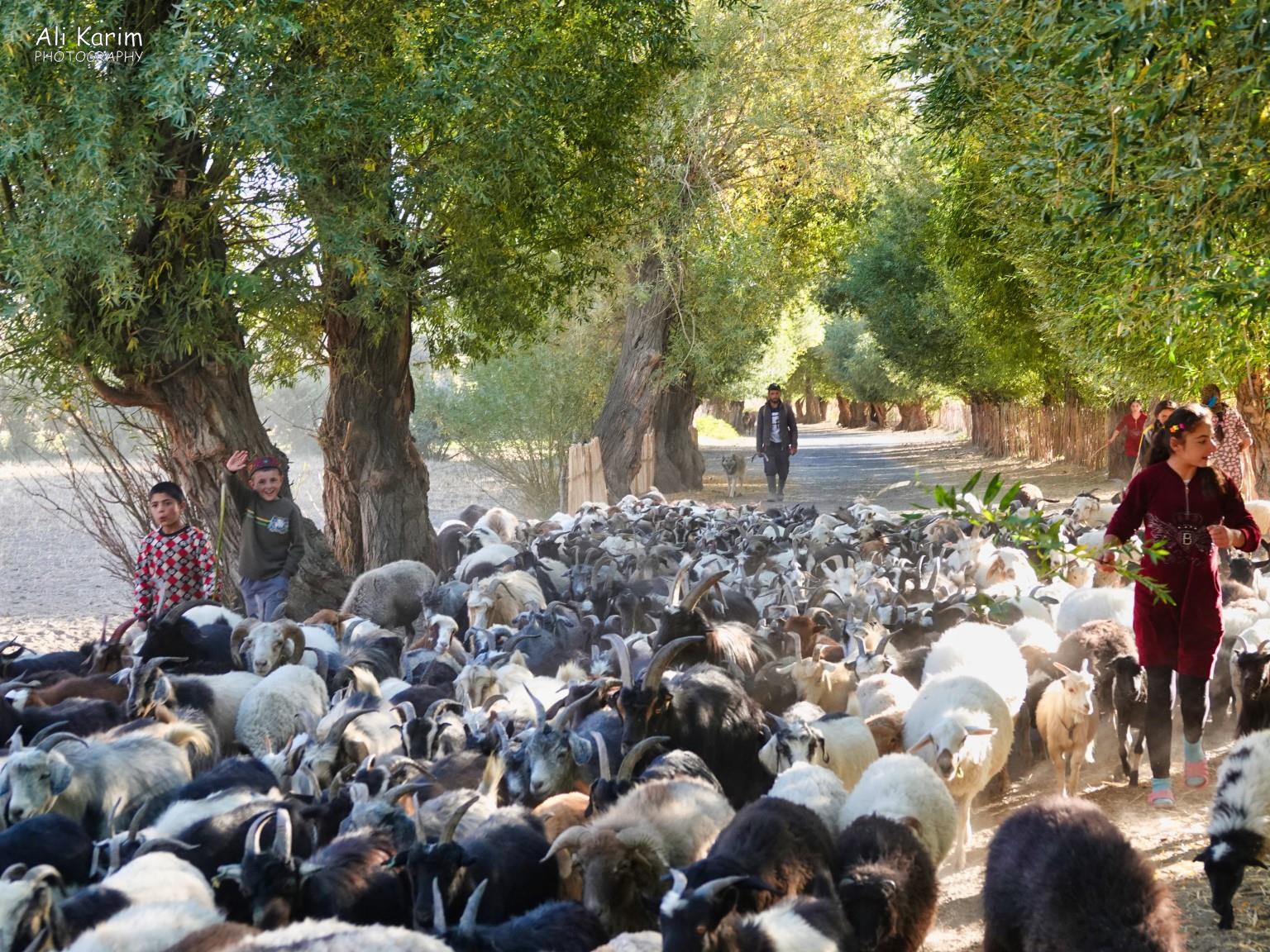 We continued our drive to Iskhashim along the Panj river with traffic jams and friendly Pamiri’s Langar, Bulunkul Tajikistan, We continued our drive to Iskhashim along the Panj river with traffic jams and friendly Pamiri’s