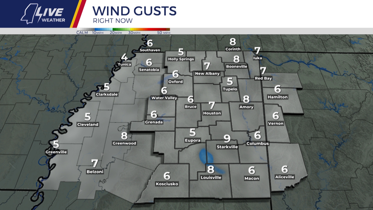 Wind Gusts Right Now