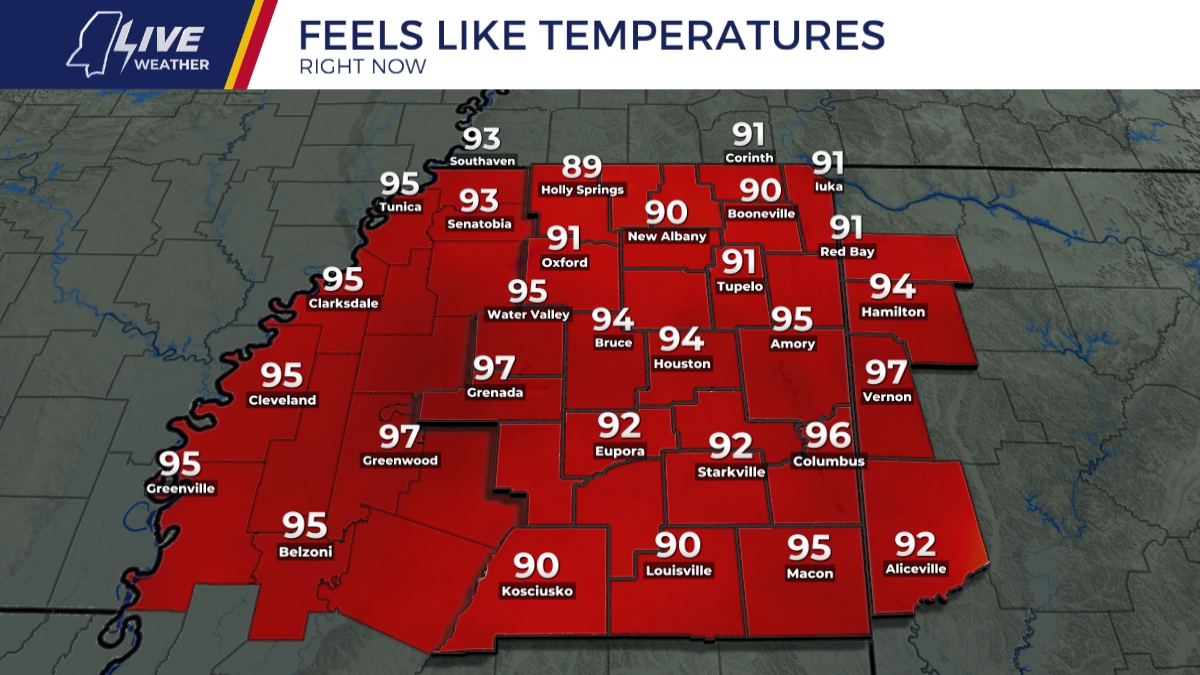 Feels Like Temperature Right Now
